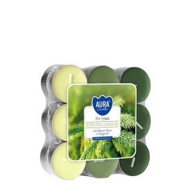 Podgrzewacze zapachowe 18 szt. Jodła P15-18-273 Aura w opakowaniu, widoczne zielone świeczki tealight ułożone w zestawie.