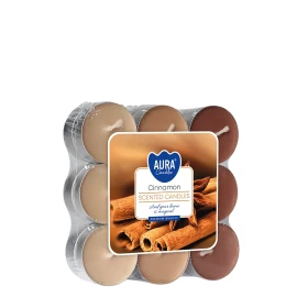 Podgrzewacze zapachowe 18 szt. Cynamon p15-18-65 Aura
