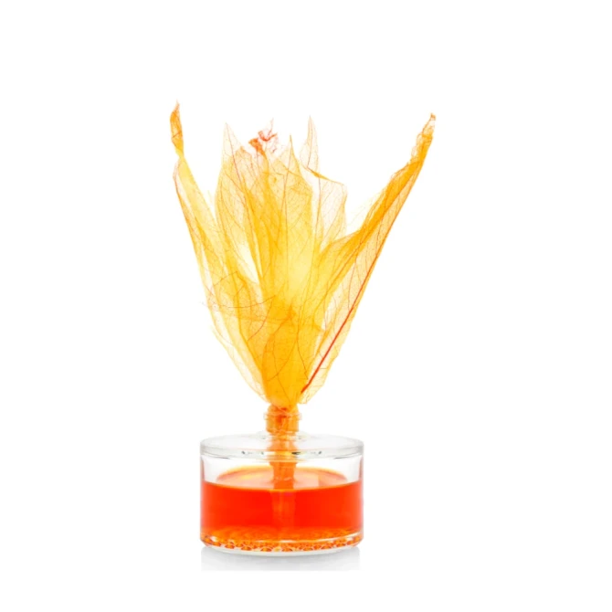 Dyfuzor zapachowy z liściem 50 ml Dzika Frezja dz50l-362 Aura Home Care w minimalistycznym wydaniu.