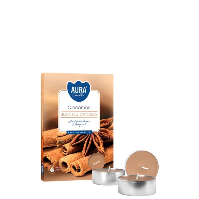 Podgrzewacze zapachowe Cynamon p15-65 Aura