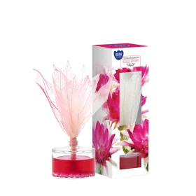 Dyfuzor zapachowy z liściem 50 ml Kwiat Kaktusa DZ50L-361 Aura Home Care w opakowaniu, widoczny flakon z różowym płynem i patyczkami.