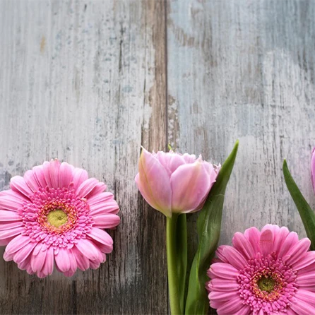 Na zdjęciu widać kompozycję delikatnych, różowych kwiatów ułożonych na szarym, drewnianym blacie.