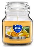 Świeca w szkle z wieczkiem Soczyste Mango snd71-475 Aura