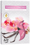 Podgrzewacze zapachowe Wanilia -Orchidea p15-184