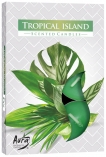 Podgrzewacze zapachowe Tropikalna Wyspa p15-274