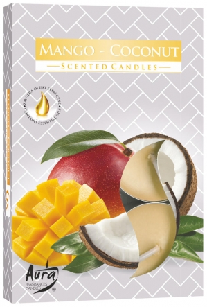 Podgrzewacze zapachowe Mango-Kokos p15-316