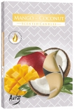 Podgrzewacze zapachowe Mango-Kokos p15-316