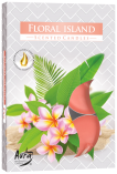 Podgrzewacze zapachowe Kwiatowa Wyspa p15-321