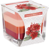 Świeca zapachowa trójkolorowa Hibiskus - Biała Szałwia snk80-356